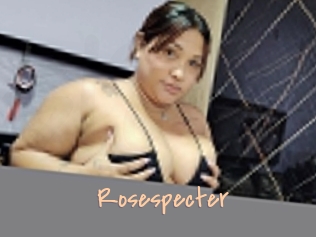 rosespecter Salopes de 18 ans