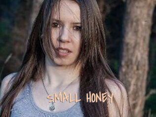 SMALL_HONEY