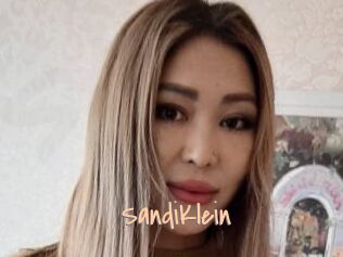 SandiKlein