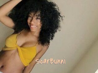 ScarBunni