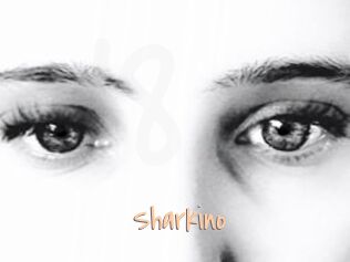 Sharkino