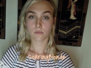 SoaringBlonde
