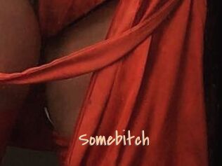 Somebitch