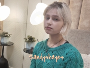 Sandyshayes