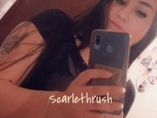 Scarlethrush