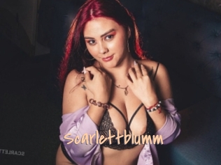 Scarlettblumm