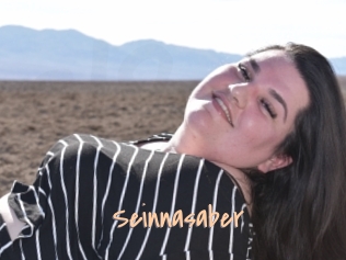 Seinnasaber