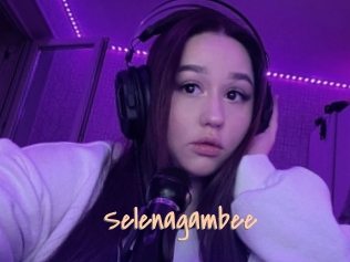 Selenagambee
