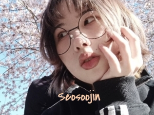 Seosoojin