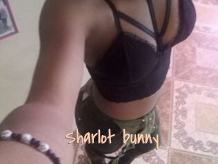 Sharlot_bunny