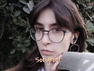 Sofigroot
