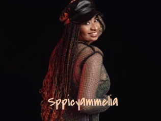 Sppicyammelia