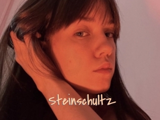 Steinschultz