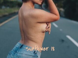 Sunflower_18