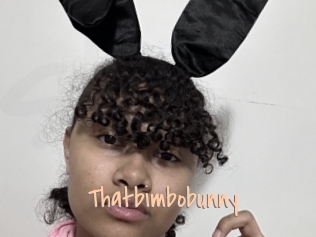 Thatbimbobunny