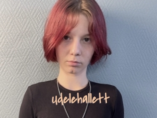 Udelehallett