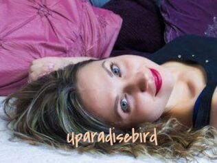 Uparadisebird