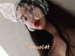 VeniceCat