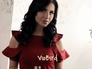 VioBird