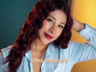 Vanesaaguilar