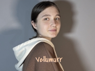 Vellumurr