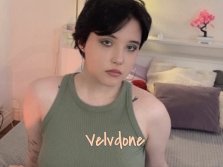 Velvdone
