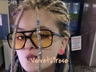 Velvet69rose