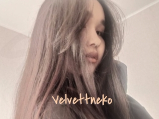 Velvettneko