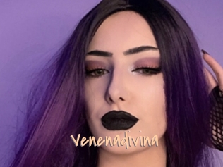 Venenadivina