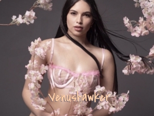 Venushawker