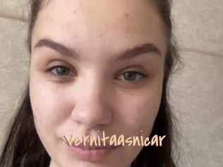 Vernitaasnicar