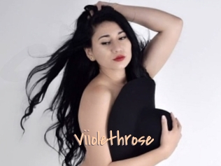 Viiolethrose