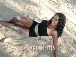WETEBONY1993