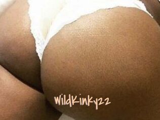 WildKinky22