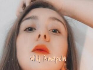 Wild_Amapola