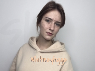 Whitneyfigge