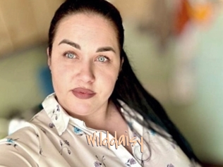 Wilddaisy