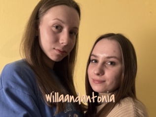 Willaandantonia