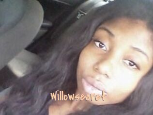 Willow_secret