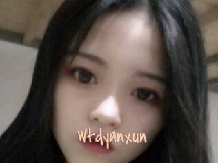 Wtdyanxun