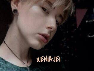XENIA_JEI