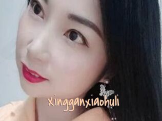Xingganxiaohuli