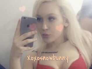 Xoxosnowbunny