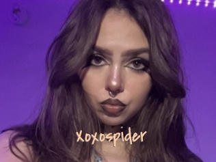 Xoxospider