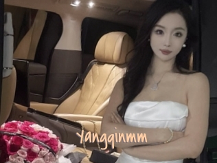 Yangqinmm