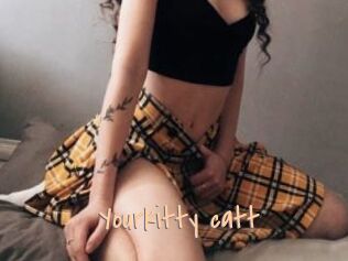 Yourkitty_catt