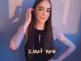 Zinet_new